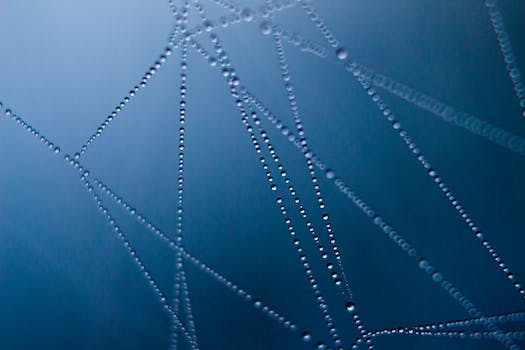The Dark Web and Cybercrime